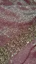 IMG_2700.webp