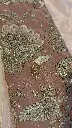 IMG_4548.webp
