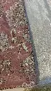 IMG_6120.webp