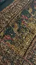 IMG_8989.webp