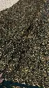 IMG_9131.webp