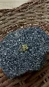 IMG_0222.webp