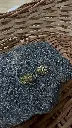 IMG_0223.webp
