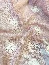IMG_0326.webp
