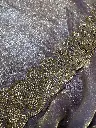 IMG_1077.webp