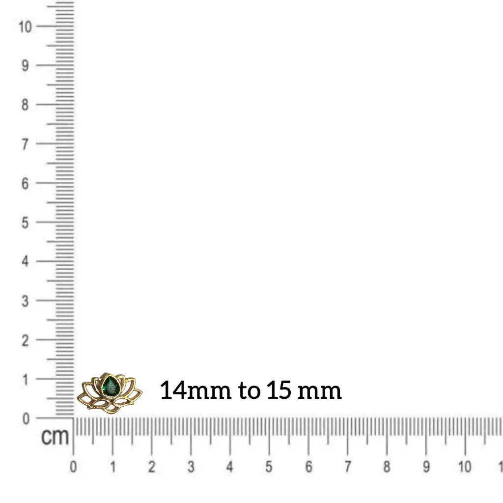 WhatsApp Image 2026-01-03 at 4.13.41 PM.webp