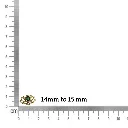 WhatsApp Image 2026-01-03 at 4.13.41 PM.webp