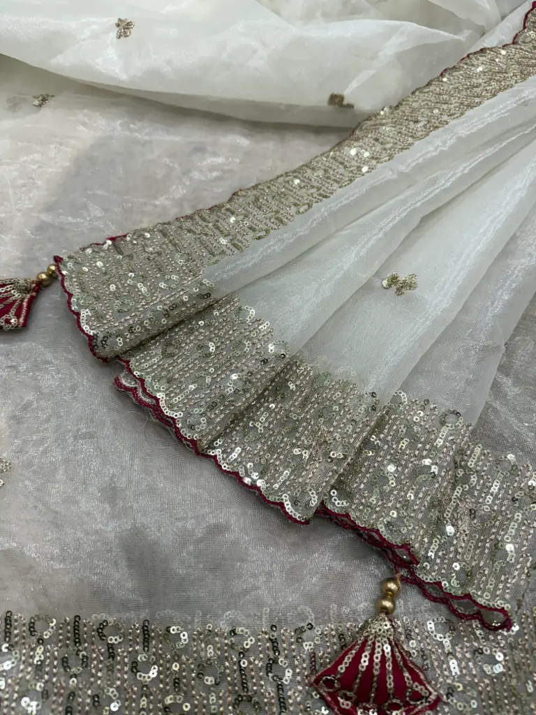 Organza cluster saree