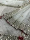 Organza cluster saree