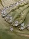 Mehandi green party wear