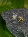 Flower nosepin