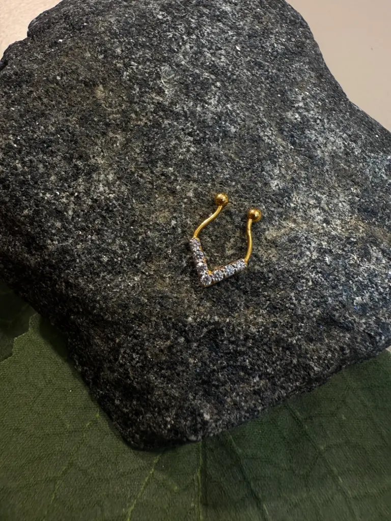 [VS-G] 916 V septum 