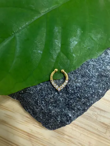 V septum 